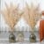 47In 10 Stems Natural Pampas Grass Tall Decor – Dried Pompas Floral Large Pampas Grass Boho Decor – Tall Pampas Grass for Floor Vase Wedding Home Grass Wall Farmhous Home Decor，Party，Gift